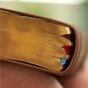 LSB MacArthur Study Bible 2nd Edition, Comfort Print (Premium Goatskin Leather, Brown)