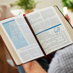 LSB MacArthur Study Bible 2nd Edition, Comfort Print (Premium Goatskin Leather, Brown)