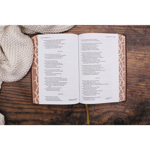 NIV Heritage Bible, Page Edge Art Edition, Leathersoft, Brown, Red Letter, Comfort Print - Case of 12