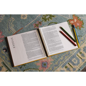 NIV Spiral-bound Illustrating Bible: Genesis - Deuteronomy, Leathersoft Spiral, Yellow - Case of 12