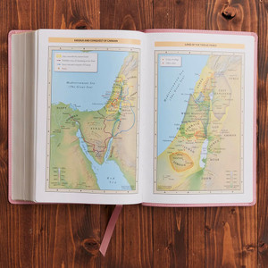 KJV Holy Bible, Large Print, Pink Leathersoft (Thumb-Indexed) - Bulk Case of 12