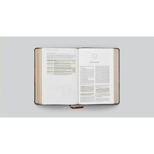 ESV Men's Study Bible (TruTone, Forest/Tan, Trail Design) - Case of 10