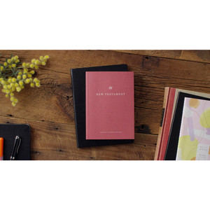 ESV New Testament, Share the Good News Edition (Paperback) - Case of 48