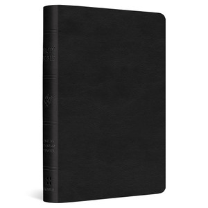ESV Value Compact Bible (TruTone, Black) - Case of 36