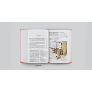 ESV Study Bible, Personal Size (TruTone, Blush Rose, Fleur-de-lis Design) - Case of 12