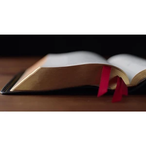 ESV Heirloom Bible, Veritas: Single Column Edition (Goatskin, Black)