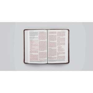 ESV Premium Gift Bible, Red Letter (TruTone, Brown) - Case of 24
