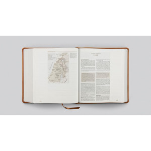 ESV Journaling Study Bible (TruTone, English Saddle, 1 Chronicles 28:9 Design) - Case of 8