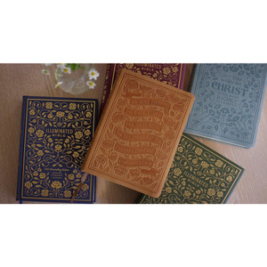 ESV Illuminated Bible, Art Journaling Edition (TruTone, Paris Sky, Colossians 3:16 Design) - Case of 10
