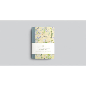 ESV Prayer Journal: 30 Days on Faith (Paperback) - Bulk Case of 84