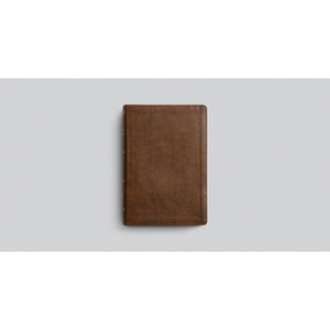 ESV Holy Bible, Dyslexia-Friendly Edition (TruTone, Brown) - Case of 8