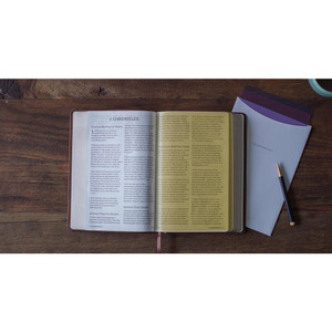 ESV Holy Bible, Dyslexia-Friendly Edition (TruTone, Brown) - Case of 8