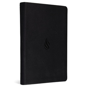 ESV Premium Gift Bible, Red Letter (TruTone, Midnight, Flame Design) - Case of 24