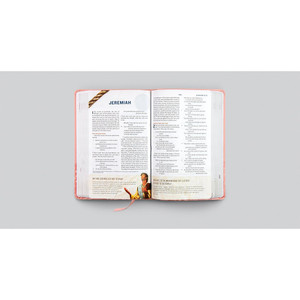 ESV Following Jesus Bible (TruTone, Blush Rose) - Case of 12