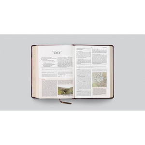 ESV Archaeology Study Bible (TruTone, Brown/Walnut, Portfolio Design) - Case of 6