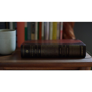 ESV Archaeology Study Bible (TruTone, Brown/Walnut, Portfolio Design) - Case of 6