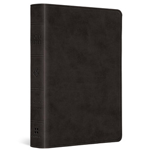 ESV Large Print Value Compact Bible, Red Letter (TruTone, Black) - Case of 28