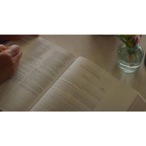 ESV Journaling Study Bible (Natural Leather, Brown, Flap w/ Strap)
