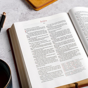 CSB Large Print Personal Size Reference Bible, Easy-to-Read Optimal Type, Digital Study Edition, Brown Crown of Thorns LeatherTouch - Case of 12