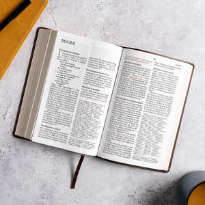 CSB Large Print Personal Size Reference Bible, Easy-to-Read Optimal Type, Digital Study Edition, Brown Crown of Thorns LeatherTouch - Case of 12