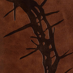 CSB Large Print Personal Size Reference Bible, Easy-to-Read Optimal Type, Digital Study Edition, Brown Crown of Thorns LeatherTouch - Case of 12