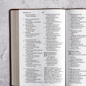 CSB Large Print Personal Size Reference Bible, Easy-to-Read Optimal Type, Digital Study Edition, Brown Crown of Thorns LeatherTouch - Case of 12