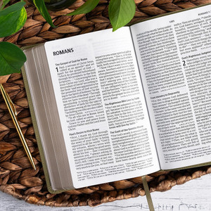 CSB Large Print Personal Size Reference Bible, Digital Study Edition, Sage Suedesoft LeatherTouch - Case of 12