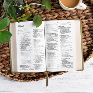 CSB Large Print Personal Size Reference Bible, Digital Study Edition, Sage Suedesoft LeatherTouch - Case of 12