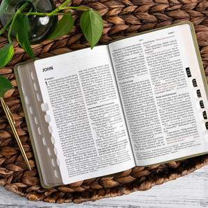 CSB Large Print Personal Size Reference Bible, Digital Study Edition, Easy-to-Read Optimal Type, Sage Suedesoft LeatherTouch, Indexed - Case of 12