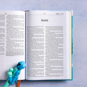 KJV Easy-for-Me Bible for Early Readers, Hardcover - Case of 18