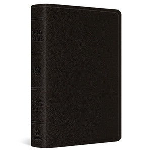 ESV Pocket Bible (Buffalo Leather, Deep Brown)
