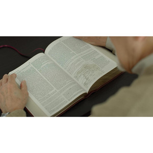 ESV Study Bible, Large Print (Bonded Leather, Burgundy) - Case of 6