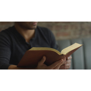 ESV Men's Study Bible (TruTone, Brown) - Case of 10