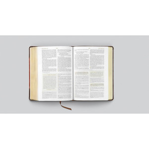 ESV Men's Study Bible (TruTone, Brown/Cordovan, Portfolio Design) - Case of 10