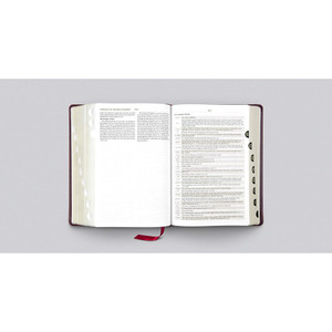 ESV Study Bible, Large Print, Thumb Indexed (TruTone, Mahogany, Trellis Design) - Case of 6