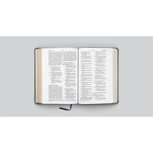 ESV Large Print Wide Margin Bible (TruTone, Slate Blue, Ornament Design) - Case of 10