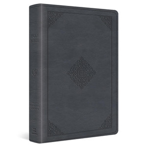 ESV Large Print Wide Margin Bible (TruTone, Slate Blue, Ornament Design) - Case of 10