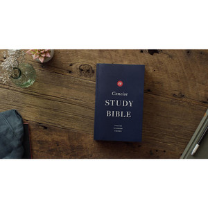 ESV Concise Study Bible, Economy Edition (Paperback) - Case of 16