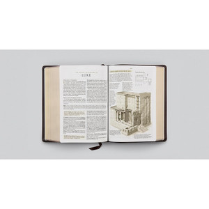 ESV Study Bible, Large Print (Buffalo Leather, Deep Brown)