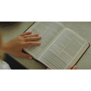 ESV Concise Study Bible (TruTone, Brown) - Case of 16
