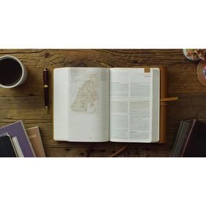 ESV Student Study Bible (Natural Leather, Brown, Flap with Strap)