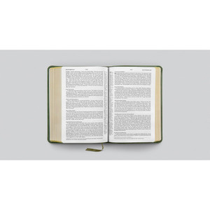 ESV Personal Reference Bible (TruTone, Quiet Forest, Ornament Design) - Case of 24