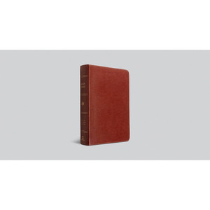 ESV Single Column Bible (TruTone, Chestnut) - Case of 15