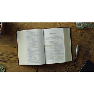 ESV Study Bible, Personal Size (TruTone, Brown/Cordovan, Portfolio Design) - Case of 12