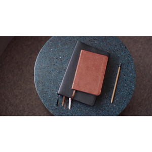 ESV Bible Promises, English (TruTone, Brown) - Case of 48
