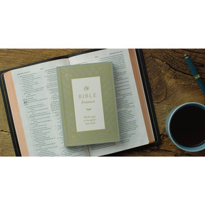 ESV Bible Promises, English (Paperback) - Case of 48