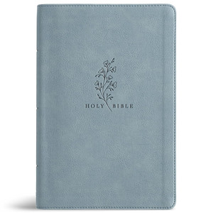 CSB Giant Print Reference Bible, Easy-to-Read Optimal Type, Digital Study Edition, Weathered Blue LeatherTouch - Case of 12