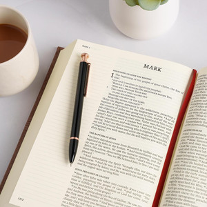 NASB Notetaking Bible, Large Print Edition, Brown Cloth Over Board - Case of 8