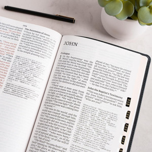 CSB Giant Print Reference Bible, Easy-to-Read Optimal Type, Digital Study Edition, Black Genuine Leather, Indexed - Case of 10