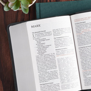 CSB Large Print Compact Reference Bible, Easy-to-Read Optimal Type, Digital Study Edition, Teal LeatherTouch - Case of 24